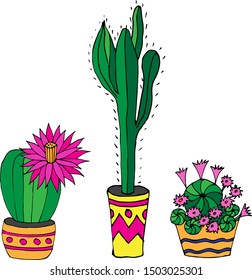 Beautiful cacti on a white background. Drawn by hand. Set of flowers for textile, gift paper, scrapbooking