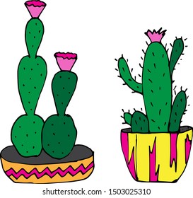 Beautiful cacti on a white background. Drawn by hand. Set of flowers for textile, gift paper, scrapbooking.