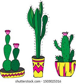 Beautiful cacti on a white background. Drawn by hand. Set of flowers for textile, gift paper, scrapbooking