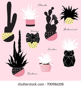 Beautiful  Cactus collection. Sketchy style illustration. Succulent set. Vector illustration in pink background.