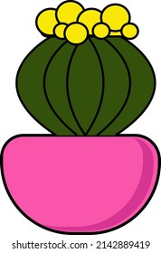 beautiful cactus. flower in a pot. natural leaf