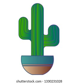 Beautiful cactus in gradient