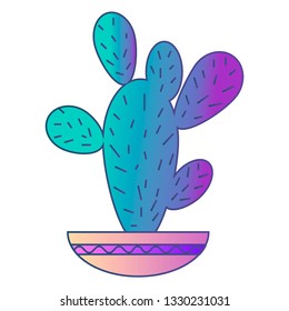 Beautiful cactus in gradient