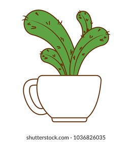 beautiful cactus houseplant in pot