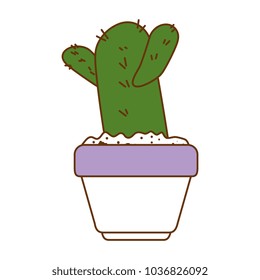 beautiful cactus houseplant in pot