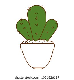 beautiful cactus houseplant in pot