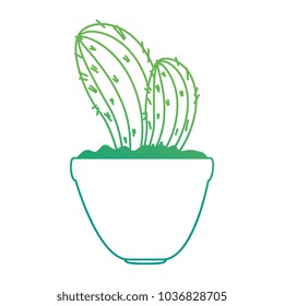 beautiful cactus houseplant in pot