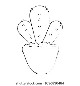 beautiful cactus houseplant in pot