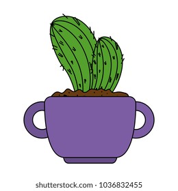 beautiful cactus houseplant in pot