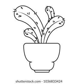 beautiful cactus houseplant in pot