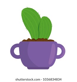 beautiful cactus houseplant in pot