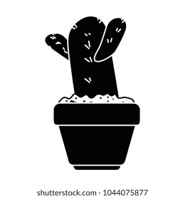 beautiful cactus houseplant in pot