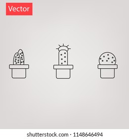 Beautiful Cactus Icon Vector 