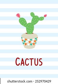beautiful cactus illustration