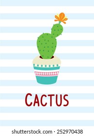 beautiful cactus illustration
