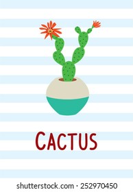 beautiful cactus illustration