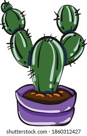 Beautiful cactus, illustration, vector on white background.