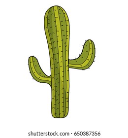 beautiful cactus plant of desert