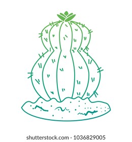 beautiful cactus planted icon