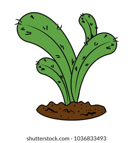 beautiful cactus planted icon