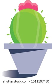 Beautiful cactus pod vector with a shadow effect