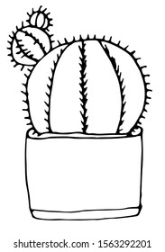 Beautiful cactus in a pot. Hand-drawn illustration on a white background. For design.