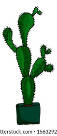 Beautiful cactus in a pot. Hand-drawn illustration on a white background. For design.