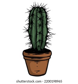 Beautiful cactus in pot - vector hand drawn