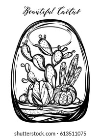 Beautiful cactus in terrarium. Vector illustration. Handmade, set of plants, prints on T-shirts, tattoos, background white, postcard for you