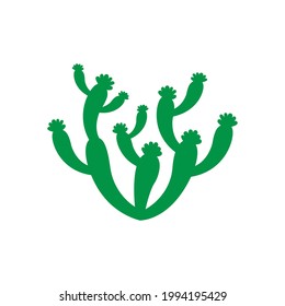 beautiful cactus vector illustration design eps.10