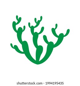 beautiful cactus without thorn vector illustration design eps.10