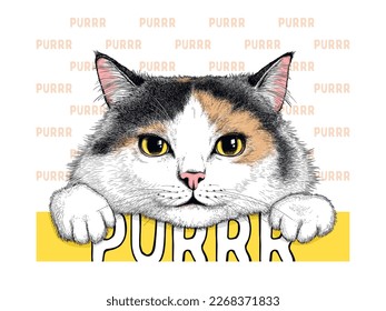 Beautiful calico cat. Realistic sketch. Purrr illustration. Stylish picture for printing on any surface