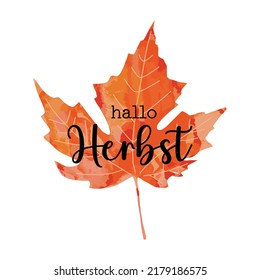 Beautiful calligraphy lettering text - Hallo Herbst - German translation - Hello Autumn Fall. Bright orange red watercolor artistic maple leaf vector illustration isolated white background