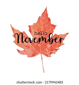 Beautiful calligraphy lettering text - Hello November. Bright orange red watercolor artistic maple leaf vector illustration isolated on white background. Autumn fall welcoming greeting poster design