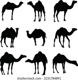Beautiful camel vector silhouette art. This is an editable and printable eps vector file.