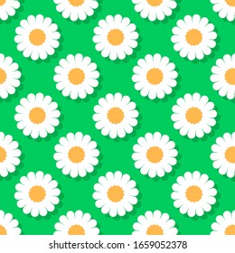 Beautiful camomile flowers with shadow isolated on green background. Seamless pattern. Vector graphic drawing. Texture.