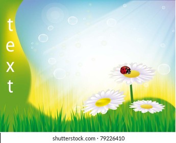 beautiful card with a bouquet of daisies