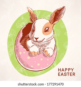beautiful card for Easter with a cute bunny in the shell of the egg on the background with chamomiles 