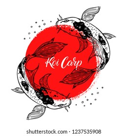 beautiful card of koi carps and red circular stroke. Hand-drawn illustration