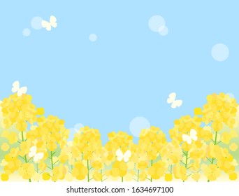 菜の花 イラスト High Res Stock Images Shutterstock