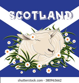 Beautiful card "Scotland" with smiley sheep and flowers on the scottish flag-background.