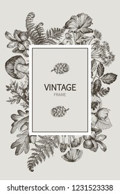 Beautiful card with a square frame with wreath of different plants of vintage garden and forest. Black and white frame of the fern, mushrooms and berrieson on a creme background. Vector illustration