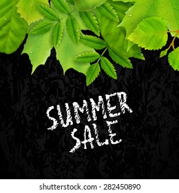 Beautiful card for summer sale with fresh green leaves, vector illustration