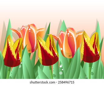 a beautiful card with tulips with space for text vector
