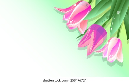 a beautiful card with tulips with space for text vector