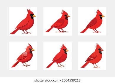 A beautiful cardinal bird vector art illustration