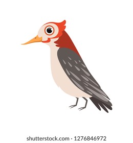Beautiful cardinal bird vector Illustration on a white background