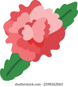 Beautiful carnation flower with green leaf illustration 