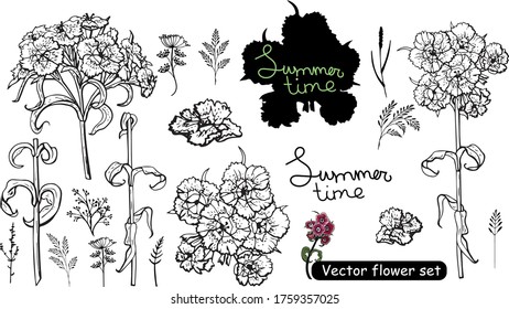 Beautiful
carnations for your design, black and white element, line art 