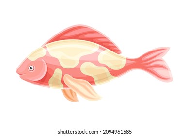 Beautiful carp koi fish vector illustration on white background